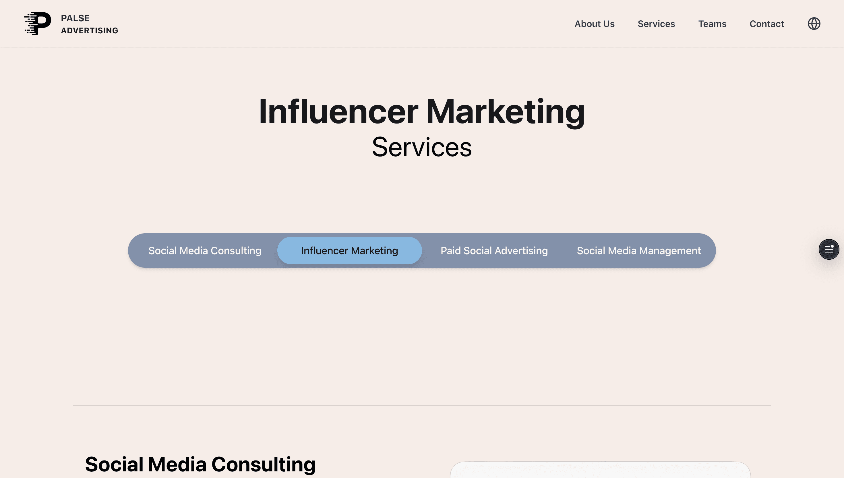 Palse Advertising | Company Profile Website screenshot 3